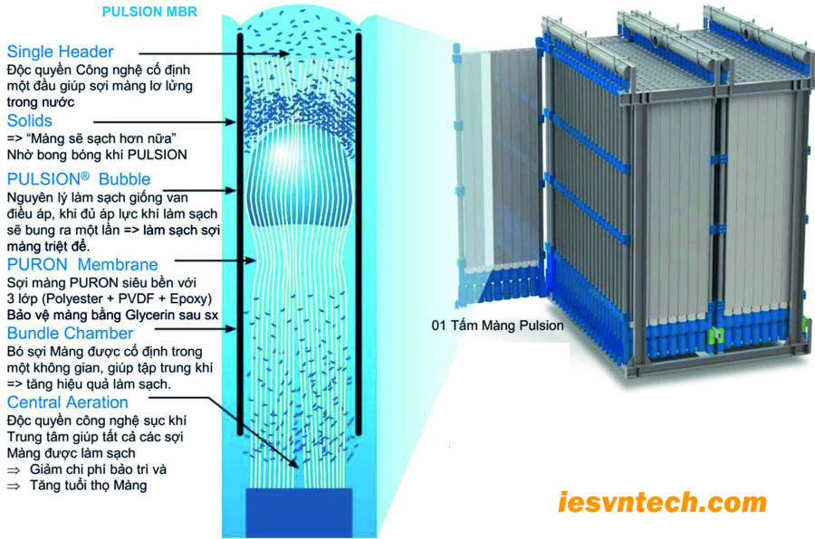 Kiểm Soát MLSS Trong MBR: 8 Bước Hiệu Quả 2026