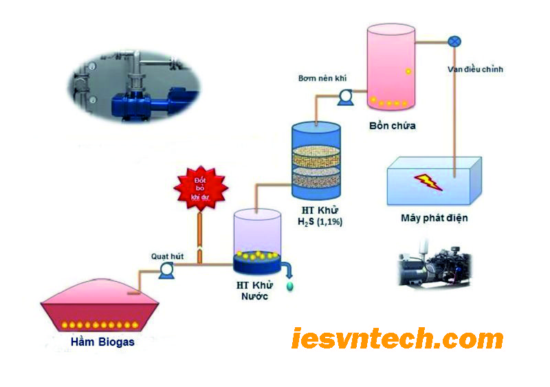 4 Giải Pháp Xử Lý Nước Thải Trại Heo Hiệu Quả & Bền Vững 4 Khám phá giải pháp xử lý nước thải trại heo tối ưu bằng công nghệ hiện đại, đảm bảo tiêu chuẩn môi trường và tái sử dụng tài nguyên. Liên hệ ngay để được tư vấn!