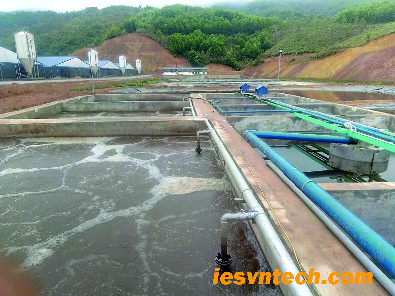 4 Giải Pháp Xử Lý Nước Thải Trại Heo Hiệu Quả & Bền Vững 2 Khám phá giải pháp xử lý nước thải trại heo tối ưu bằng công nghệ hiện đại, đảm bảo tiêu chuẩn môi trường và tái sử dụng tài nguyên. Liên hệ ngay để được tư vấn!