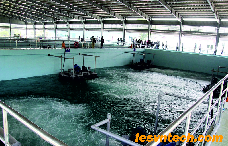 4 Giải Pháp Xử Lý Nước Thải Trại Heo Hiệu Quả & Bền Vững 5 Khám phá giải pháp xử lý nước thải trại heo tối ưu bằng công nghệ hiện đại, đảm bảo tiêu chuẩn môi trường và tái sử dụng tài nguyên. Liên hệ ngay để được tư vấn!