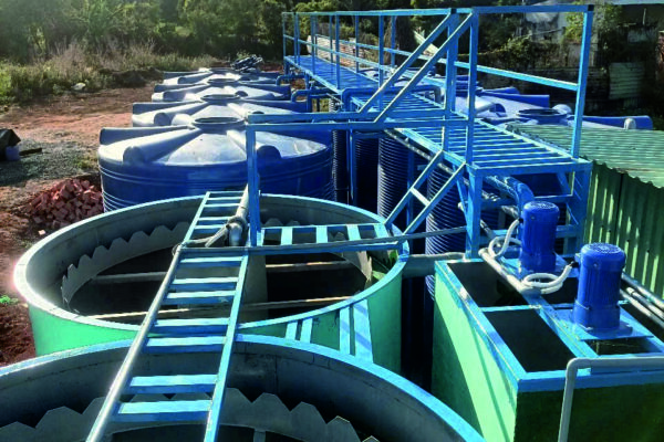 Thu Hồi VFA Từ Bùn Thải: 7 Bước Tăng Giá Trị