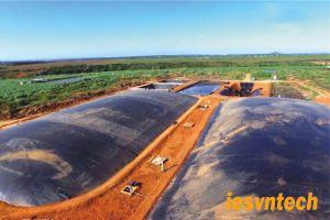 Xử Lý Nước Thải Chăn Nuôi Sau Biogas