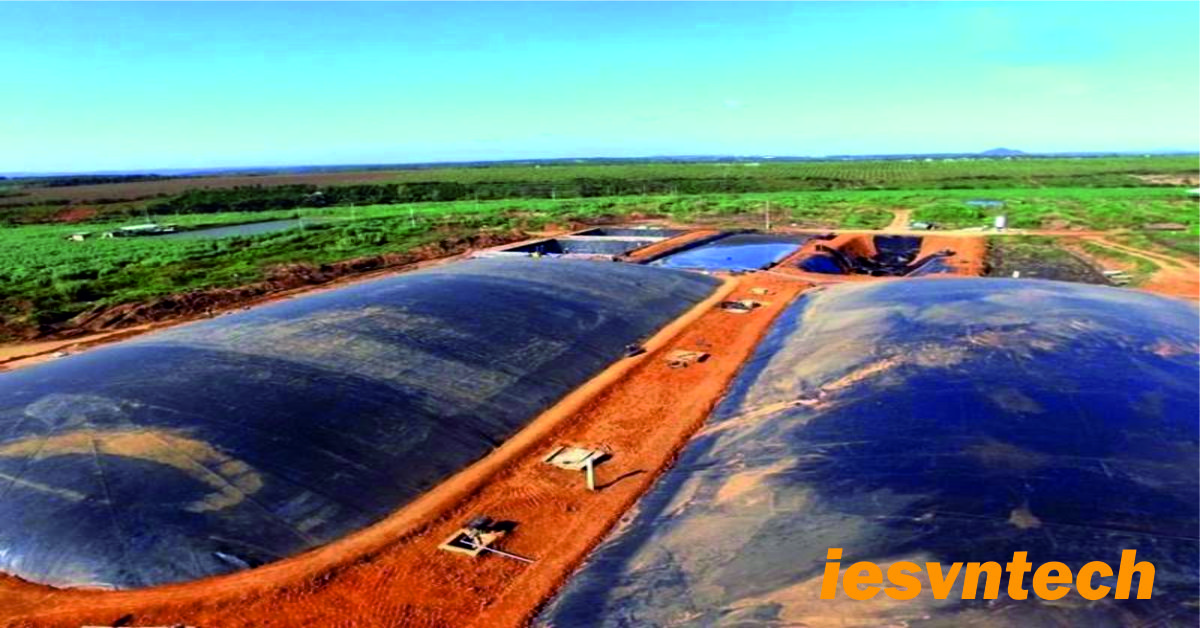 Hồ Sinh Học Xử Lý Nước Thải Nông Nghiệp: 9 Tiêu Chí Thiết Kế Hiệu Quả 3 hồ sinh học xử lý nước thải nông nghiệp - sơ đồ và thiết bị kiểm soát