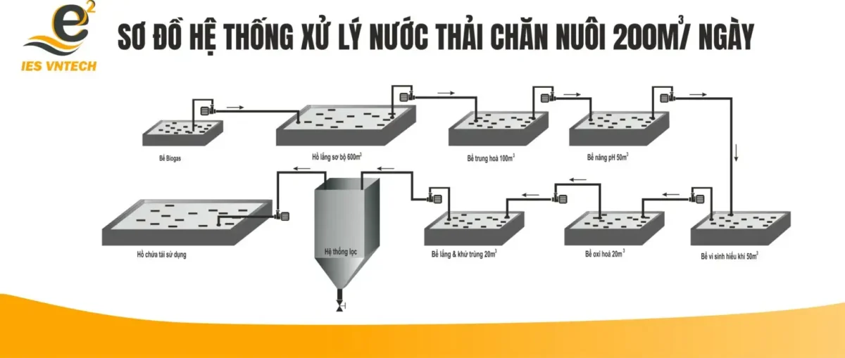 hệ thống xử lý nước thải chăn nuôi