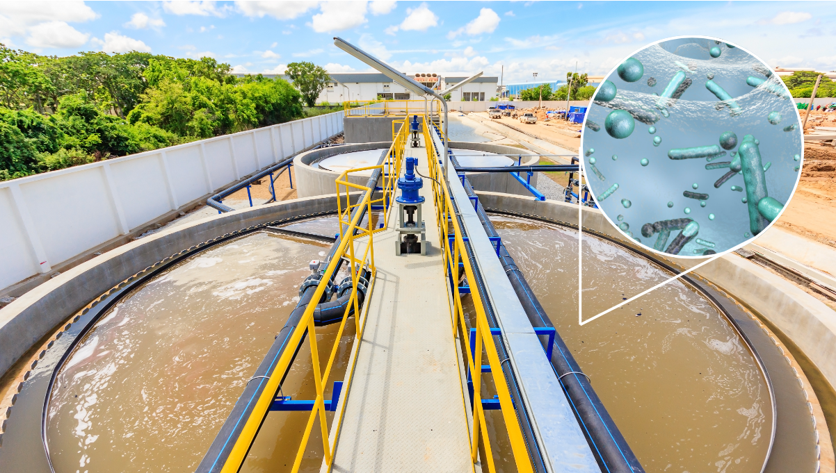 Chi Phí Xử Lý Nước Thải Giá Rẻ: Bảng Giá & Giải Pháp Tiết Kiệm 2026