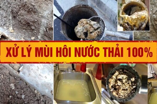 Xử Lý Nước Thải Sinh Hoạt Khách Sạn: 8 Tiêu Chí