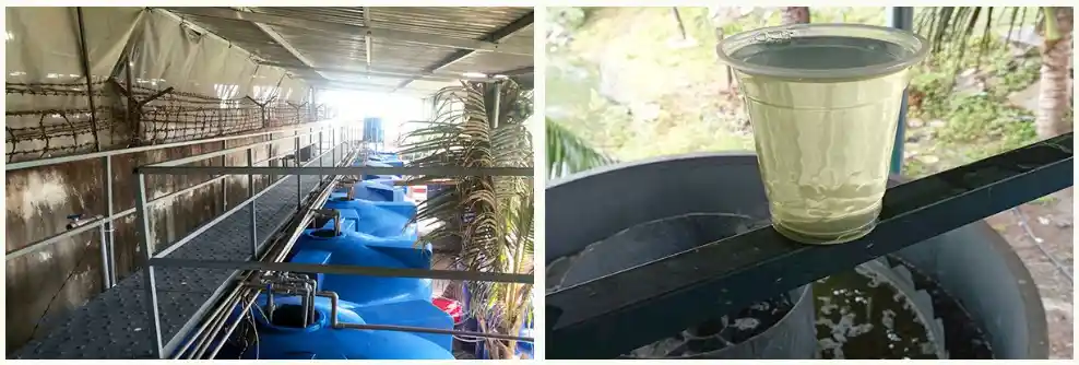 Hệ Thống Xử Lý Nước Thải Chế Biến Hạt Điều Đạt Chuẩn Môi Trường 2026 2 Hệ thống xử lý nước thải chế biến hạt điều