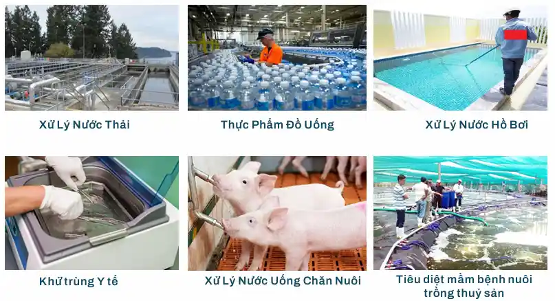 Màng MBR Giá Rẻ: Giải Pháp Công Nghệ Tối Ưu Xử Lý Nước Thải