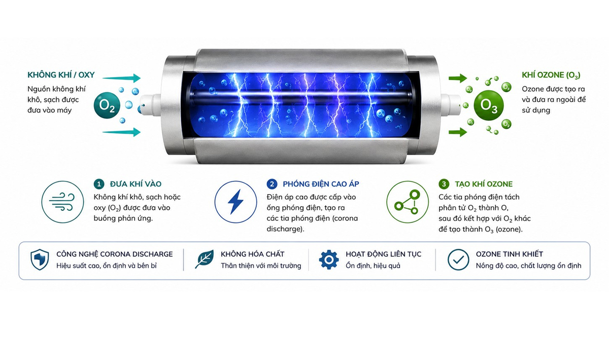 Máy tạo khí Ozone 2g/h OZ-2QBAOS xử lý nước và thực phẩm 6 May ozone 13