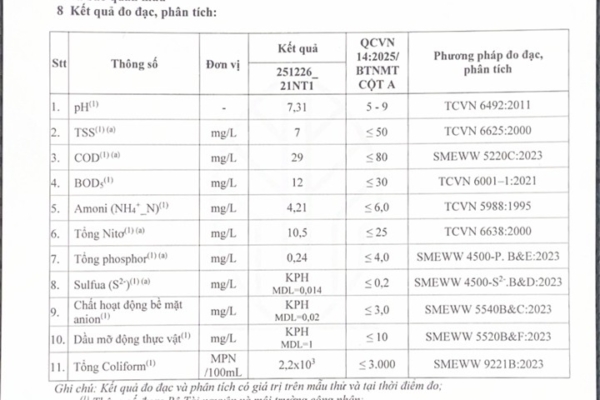 Hướng Dẫn Xử Lý Sự Cố Trạm Xử Lý Nước Thải Thường Gặp Từ A-Z